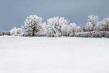 Which States Are in the Frost Belt?