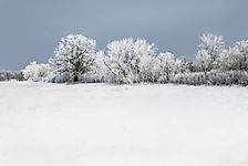 Which States Are in the Frost Belt?