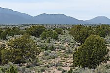 The Great Basin Desert