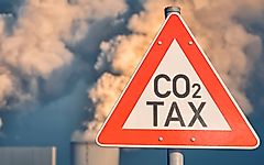 Economists' Main Arguments For and Against Carbon Taxation