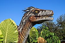 10 Reasons Why Dinosaurs Continue To Fascinate Us