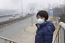 Smog And Its Effects On Environmental Health