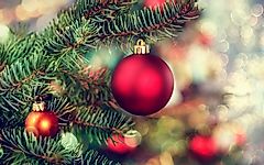 Artificial vs. Authentic: Which Christmas Tree Is Better For the Earth?