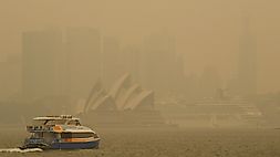 New South Wales Bushfire Smoke Is Choking The Tourism Industry