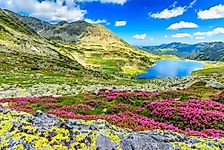 Biodiversity Of The Carpathians