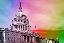 Openly LGBT Members Of Congress