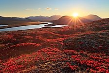 What Are Vegetation Patterns?