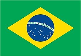 Flag of What Do the Colors and Symbols of the Flag of Brazil Mean?