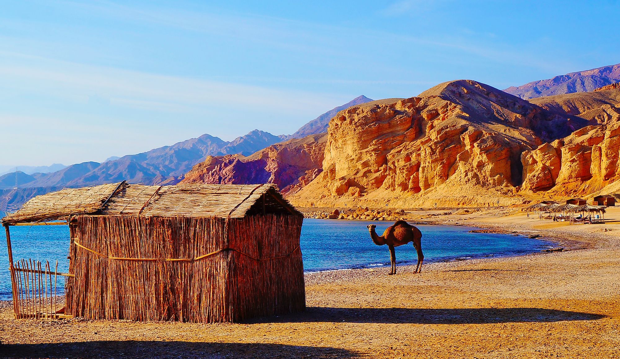 Sinai Peninsula - WorldAtlas 送料割引あり Sinai 制汗/デオドラント