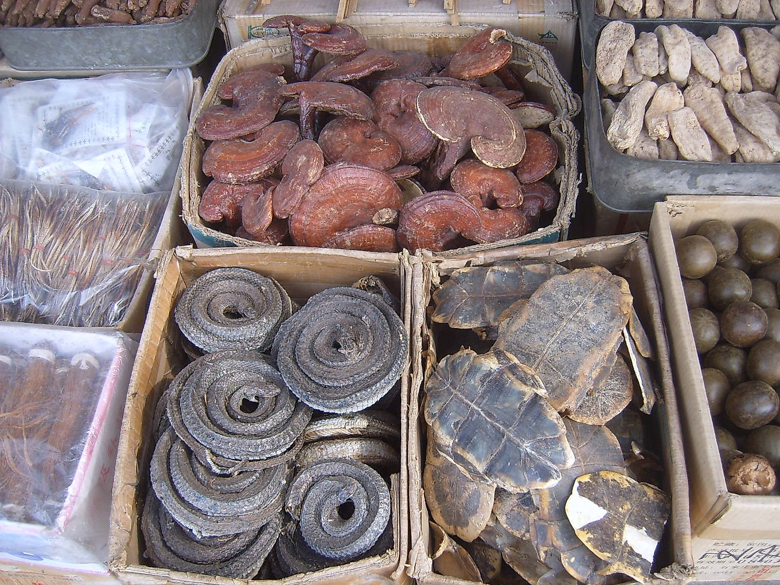 These Chinese Medicines Actually Contain Body Parts From Animals - WorldAtlas These Chinese Medicines Actually Contain Body Parts From Animals - WorldAtlas