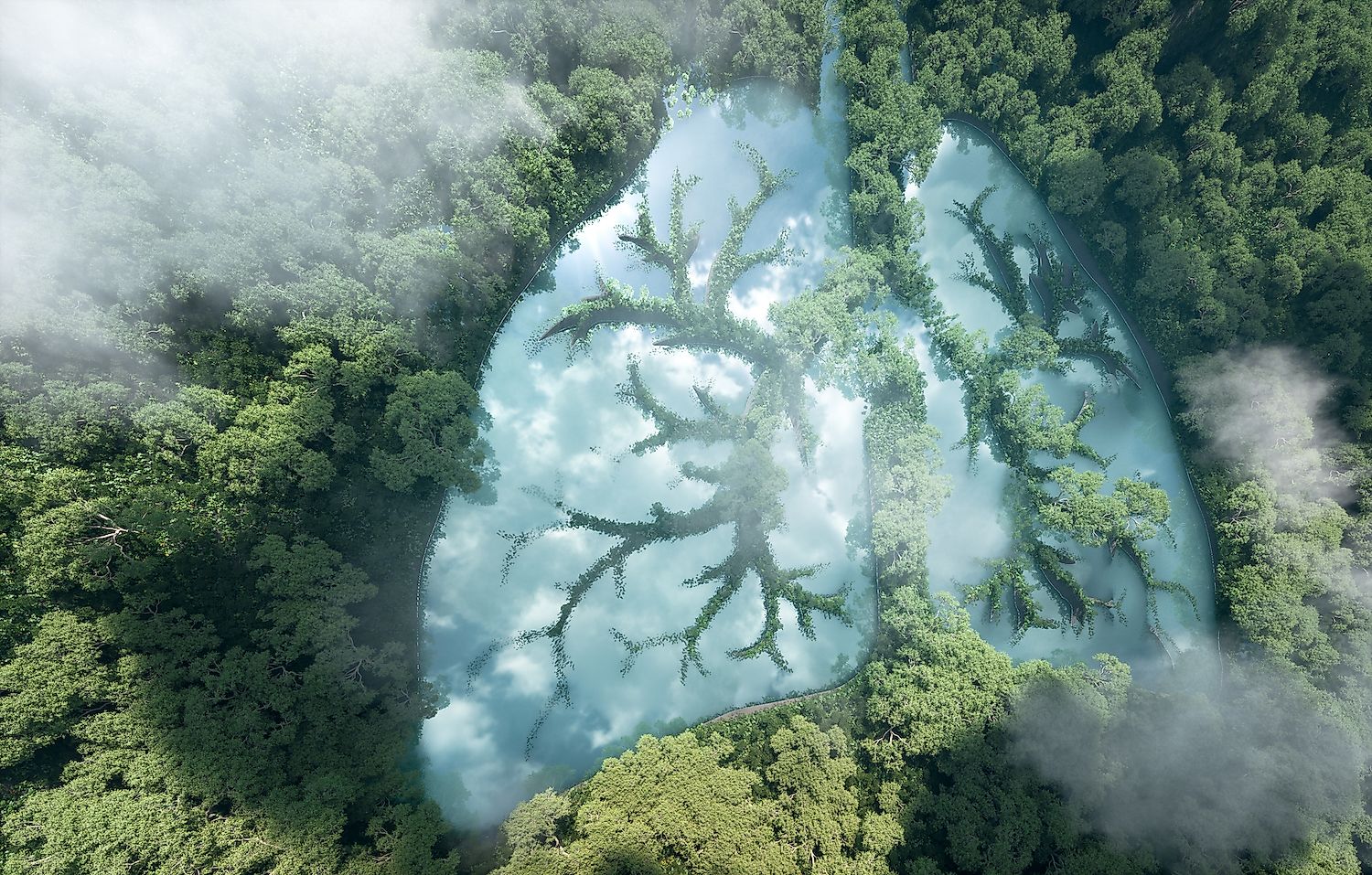 Why Are Tropical Rainforests So Important - Infoupdate.org