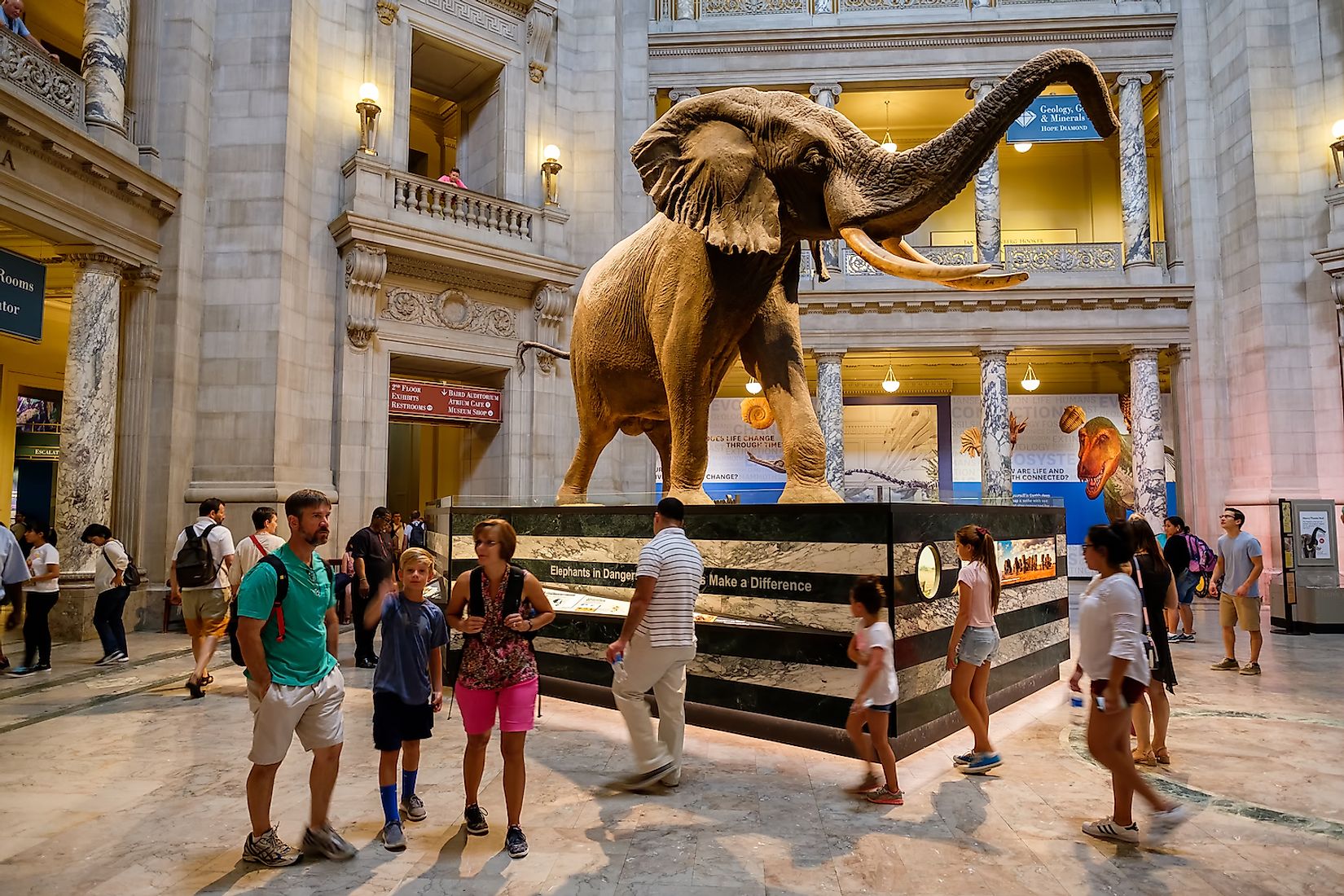 10 Best Natural History Museums Around The Globe - WorldAtlas