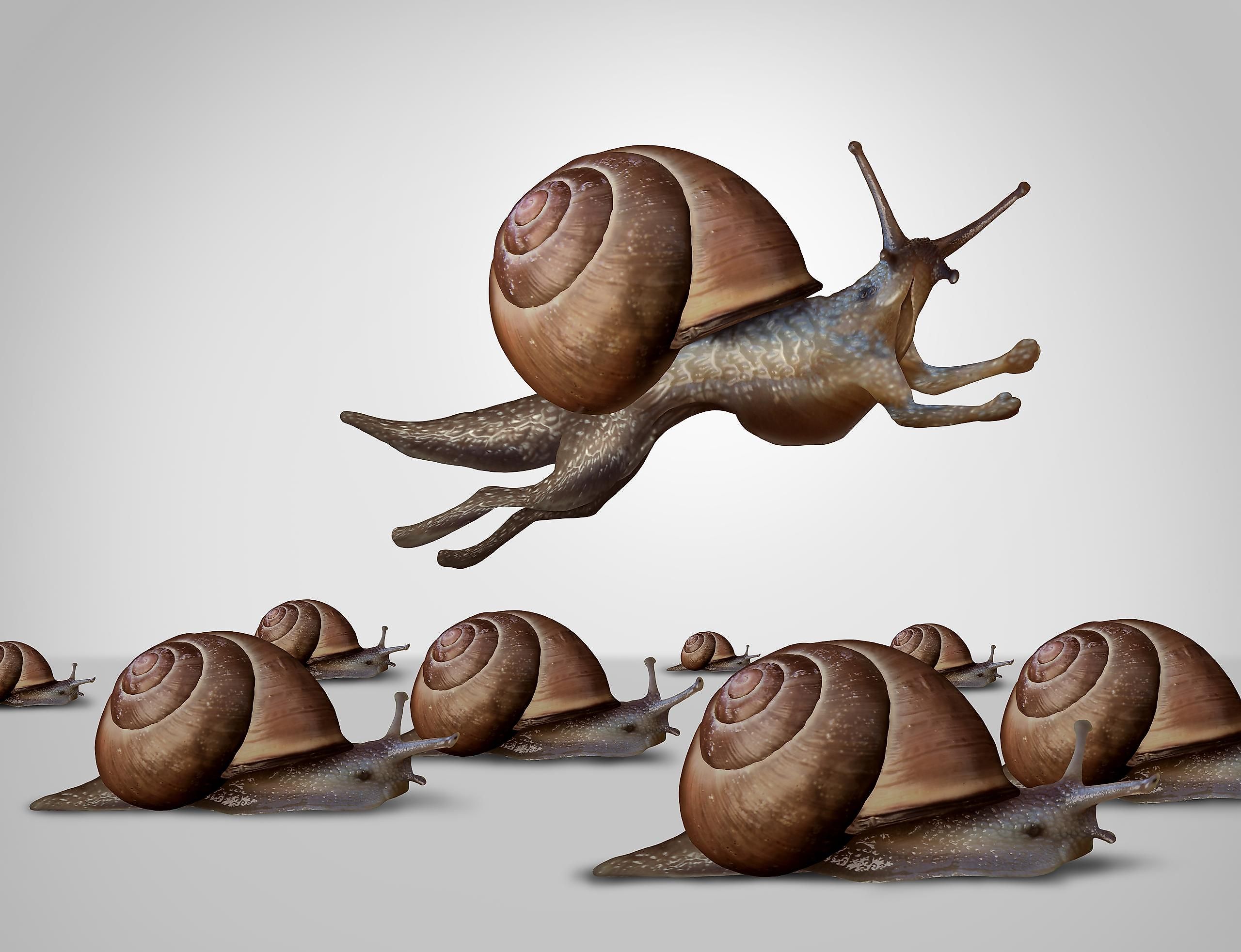 What Is A Behavioral Adaptation? - WorldAtlas What Is A Behavioral Adaptation? - WorldAtlas