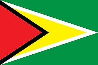 Flag of Guyana