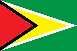 Flag of Guyana