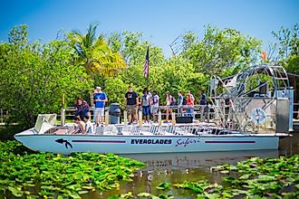 Visitors enjoying a safari in Everglades.