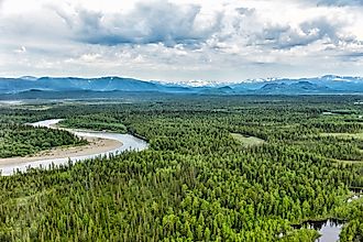 Taiga ecosystems in northern Europe.