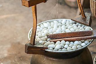 The process of producing silk by hand from silkworm cocoons.