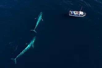 Pacific Ocean