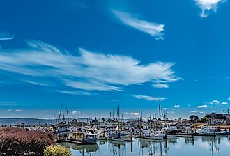 Woodley Marina in Eureka, California. 