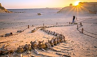 This shot was taken in the Whale Valley, a UNESCO-protected area. By AhmedMosaad - Own work, CC BY-SA 4.0, https://commons.wikimedia.org/w/index.php?curid=67890625