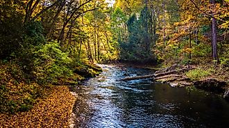 Early autumn color along the Gunpowder River in Gunpowder Falls State Park, Maryland.
