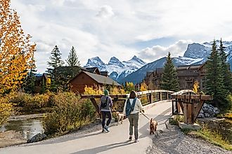 Residents walking their dogs in the town of Canmore during the fall season. 