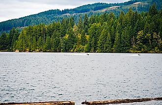 Picturesque mountain clear water deep Merwin Lake with evergreen coniferous forests on the mountains and the curvy shore