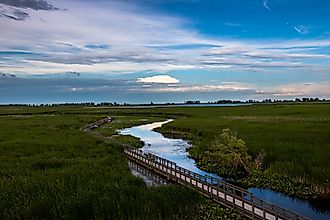View of of the marsh and boardwalk in Point Pelee National Park, Ontario, Canada. 