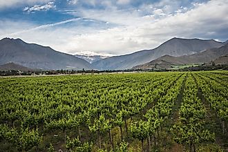 Agriculture plays a significant role in the economy of Chile.