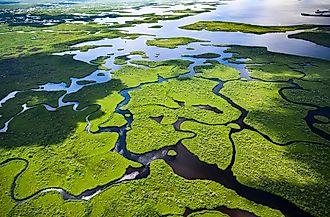 Aerial view of Everglades National Park in Florida