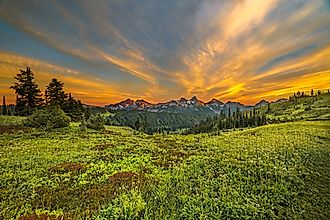Mount Rainier National Park is an American national park located in Washington state. 