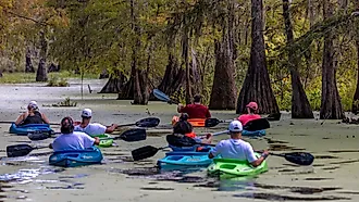 Champagne's Cajun Swamp Tours in Breaux Bridge, Louisiana