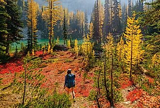Woman hiking through the forested Cascade Mountains towards Lake Chelan, Washington. 