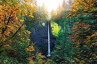 Scenic fall view of the Latourell Falls along the Columbia River Gorge in Oregon.