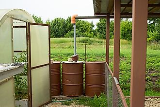 Barrels for collecting rainwater for watering the garden.