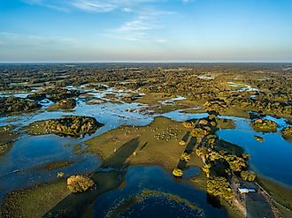 Pantanal photographed in Corumba, Mato Grosso do Sul. Pantanal Biome.