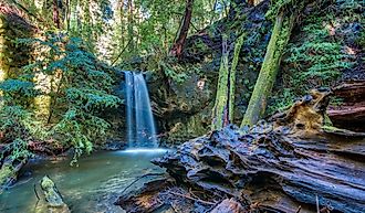 Sempervirens Falls in Big Basin Redwoods State Park.