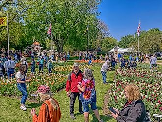 Annual Tulip Festival in Orange City, Iowa. Image credit Jacob Boomsma via Shutterstock