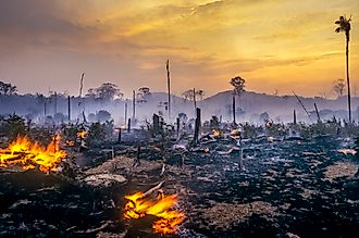 <p>The Earth has lost roughly 420 million hectares of forest since 1990, an area larger than India, according to the State of the World's Forests report from the United Nations' Food and Agriculture Organization. The pace has eased, and replanting now off