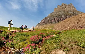 Overview of Logan Pass with tourist walking in Glacier National Park, Montana. Editorial credit: Jay Yuan / Shutterstock.com