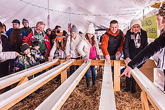 Minnow Racing at Fish Creek, WIsconsin's Winterfest. Image by doorcountypulse.com