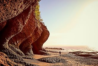Tourist walking on the beach under a beautiful cliff on the coast of New Brunswick, Canada at the Bay of Fundy at low tide. Image credit Julien Faugere via Shutterstock.