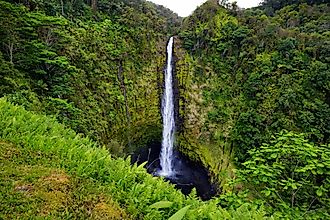 The majestic Akaka Falls on Kolekole Stream.
