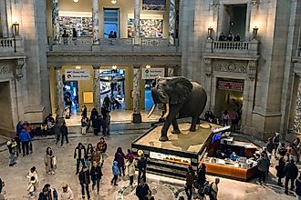 Smithsonian National Museum of Natural History, Editorial credit: becauz gao / Shutterstock.com