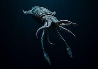 A giant squid illustration.