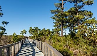 The Gordons Pond Trail in Cape Henlopen State Park, Lewes, Delaware.