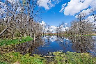 Flooded Wetlands in Moraine Hills State Park, Illinois. 