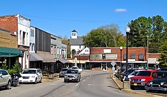 Waynesboro, Tennessee. In Wikipedia. https://en.wikipedia.org/wiki/Waynesboro,_Tennessee By Brian Stansberry - Own work, CC BY 4.0, https://commons.wikimedia.org/w/index.php?curid=53037936