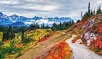 Washington, USA: Fall colors at Paradise area at Mount Rainier National Park.